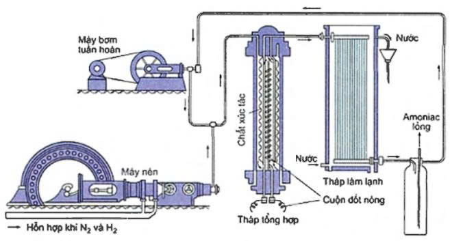 Hình 1